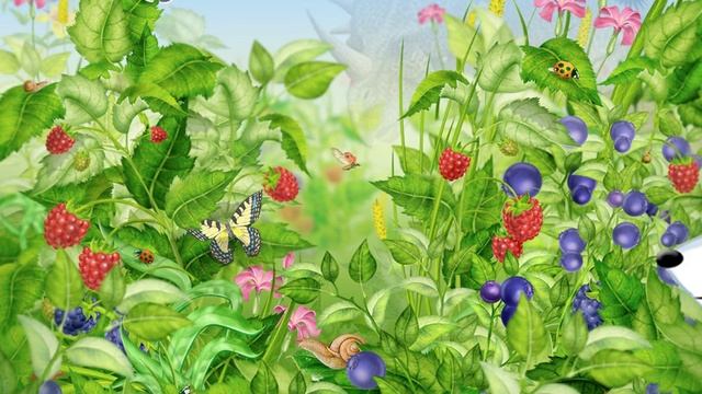 Видеолекция Ориентирование по местным признакам смотреть онлайн