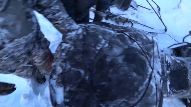 Поездка на рыбалку/Тут рыбы нет/Температура -37/Покатушки на снегоходах смотреть онлайн
