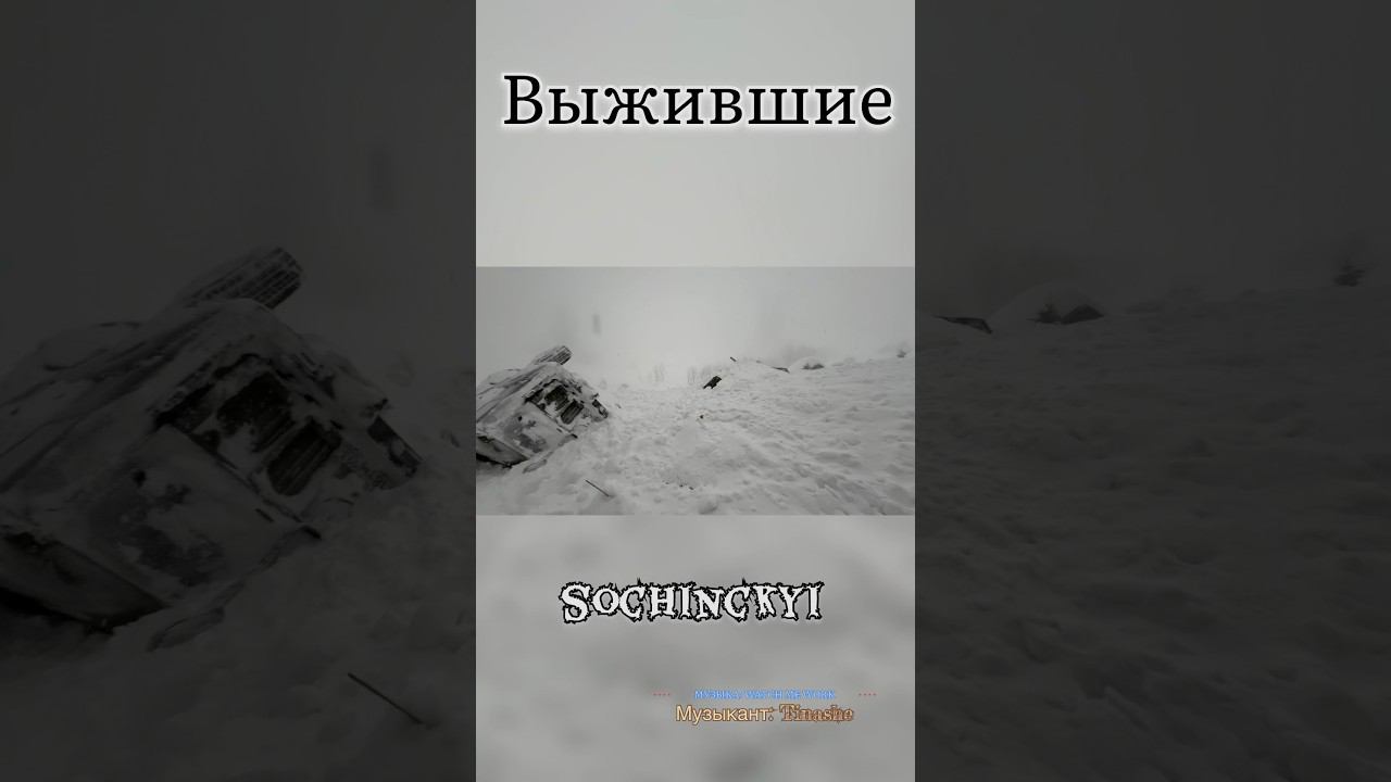 Выжившие после лавины