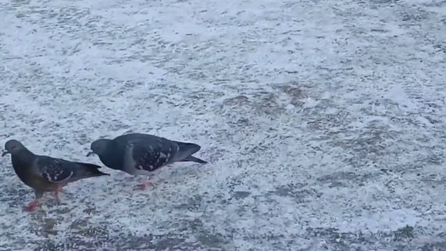 Когда узнал что беременна смотреть онлайн
