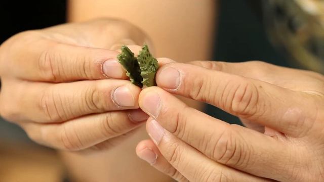 Conquest Frankie Vu Games Workshop смотреть онлайн