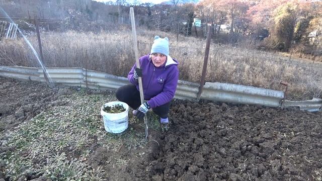 Зимняя перекопка почвы. Подготовка к посадке лука 2020. Снег в Крыму смотреть онлайн