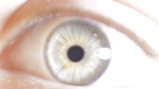 Master Your Camera in 20 Minutes | Tomorrow's Filmmakers смотреть онлайн