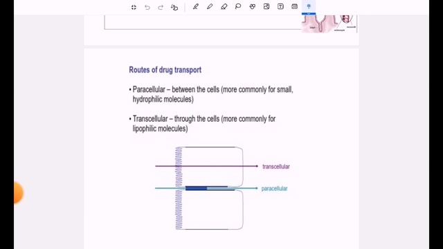 Biopharmaceutics Lecture1 | introduction صيدلة مرحلة رابعة смотреть онлайн