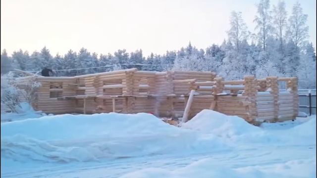 Строительство сруба из оцилиндрованного бревна смотреть онлайн