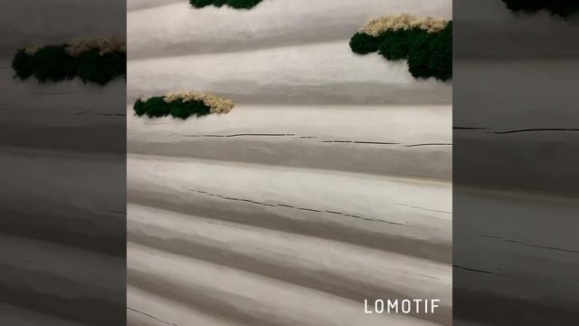 Вертикальное озеленение стабилизированным мхом. Мох не требует ухода, остается в неизменном виде. смотреть онлайн