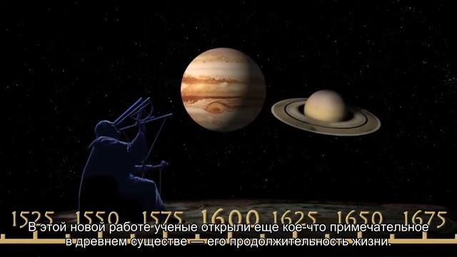 Посмотрите на огромного моллюска с панцирем в виде скрепки. Он жил по 200 лет смотреть онлайн