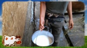 Молоко и молочные продукты .Фрагмент занятия