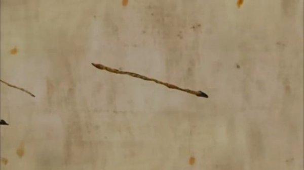 Who Was The Real William The Conqueror_ _ William The Conqueror _ Chronicle