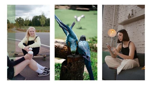 Cadet Blue lut | Free Luts | Cody blue lut | Moody luts | luts vn | wedding luts Free Lut смотреть онлайн