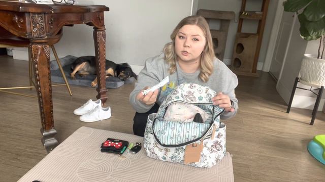 WHAT'S IN MY DIAPER BAG | PETUNIA PICKLE BOTTOM ACE смотреть онлайн