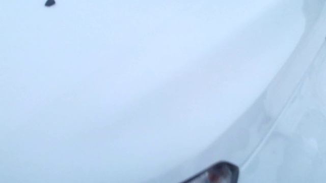 Ford EcoSport 2015 1.6 AT смотреть онлайн