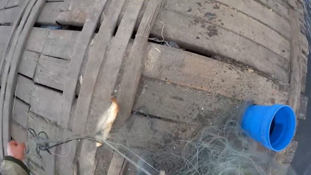 ОЧЕНЬ УДАЧНАЯ рыбалка КАСТИНГОВОЙ сетью(Американка диаметр 6 метров)Щука.САЗАН.Карась.Подьязь!!! смотреть онлайн