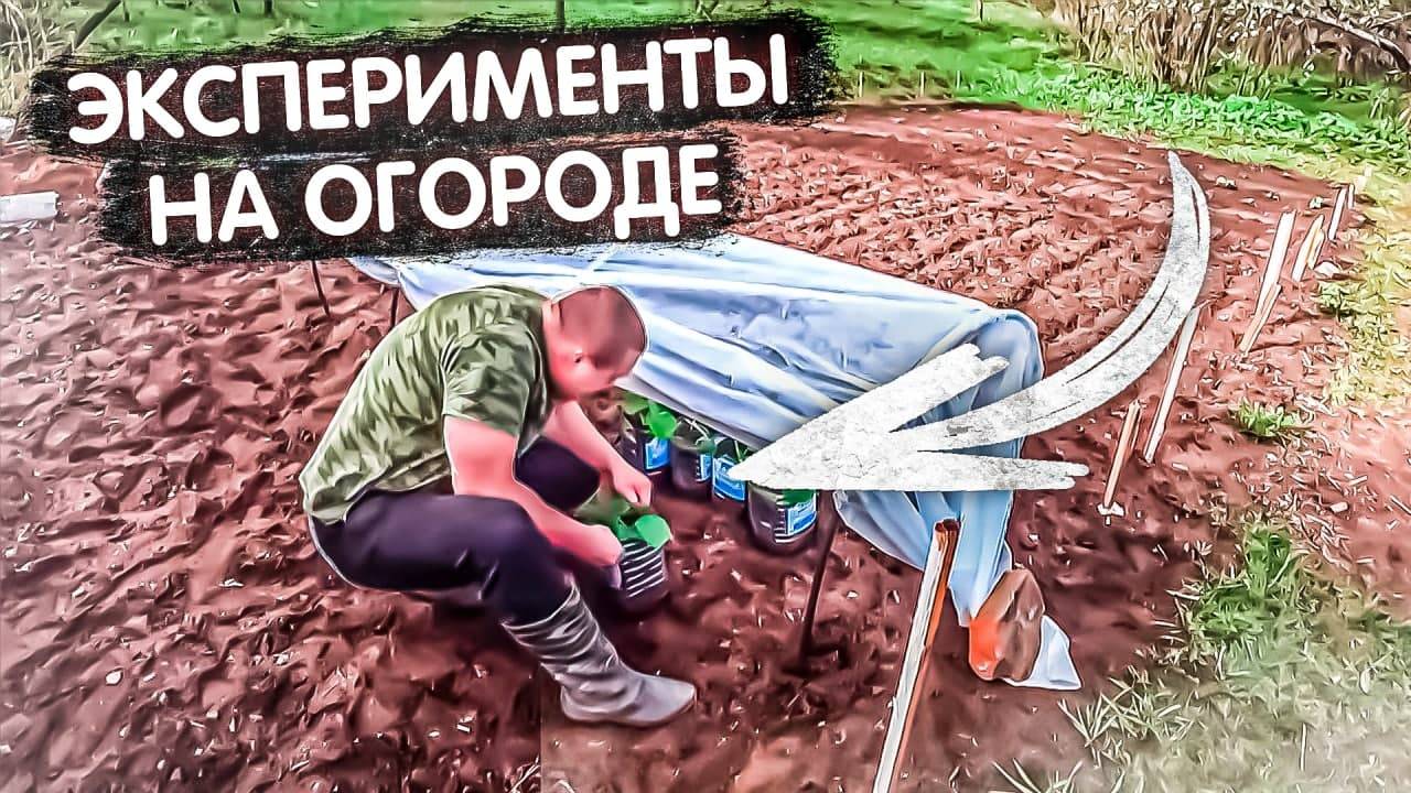 Супер огород мечты в котором надо выжить, эксперементы смотреть онлайн