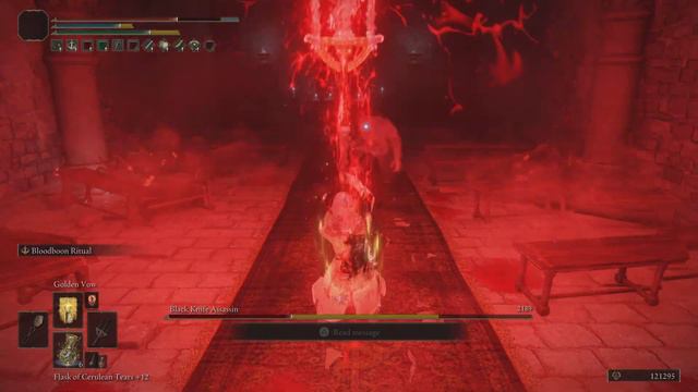 ELDEN RING, Black Knife Assassin, ARCANE build with Mohgwyn's Sacred Spear смотреть онлайн