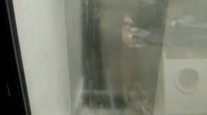 Не поднимается влажность в инкубаторе