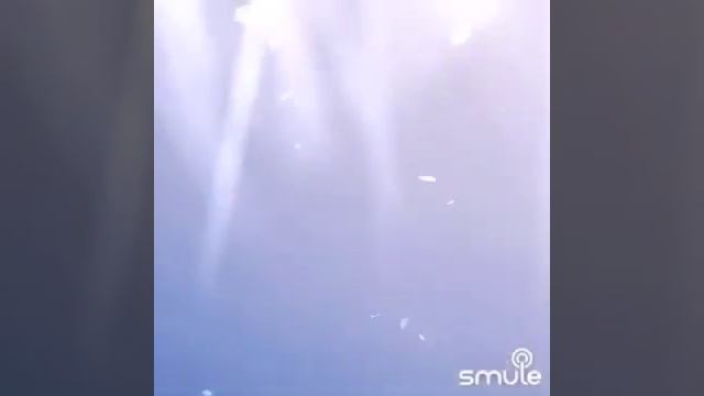 Раненая птица.Караоке смотреть онлайн