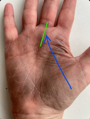 Линия судьбы заходит на средний палец, успех в работе, бизнесе. Деньги на руке, способности.