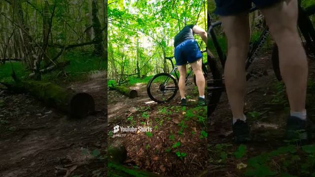 Встал и пошёл)))#short