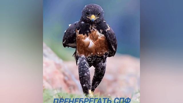 Пять причин раннего появления морщин ? смотреть онлайн