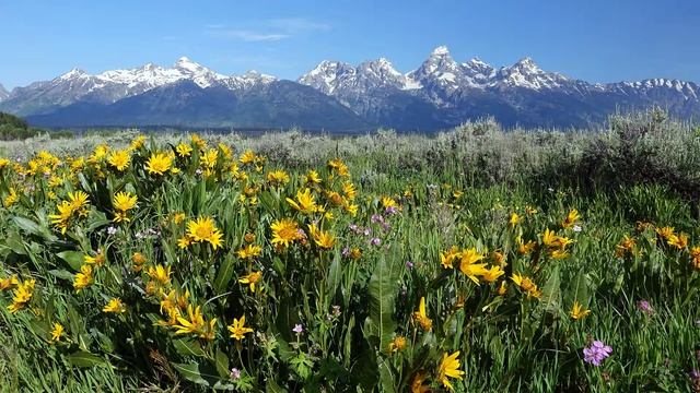 Grand Teton National Park and Pinedale, Wyoming смотреть онлайн