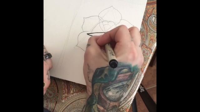 Traditional rose drawing tutorial смотреть онлайн