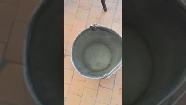 блесна рифленка смотреть онлайн