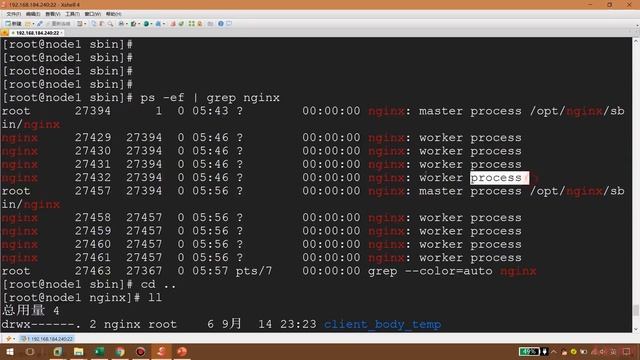 3 6 检验真理：Nginx热部署完整步骤演示 慕课网 2019 12 01 14 10 смотреть онлайн