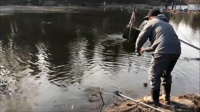 Поимки у чайника, верхний пруд. Клёвое место "Лосиный остров". смотреть онлайн