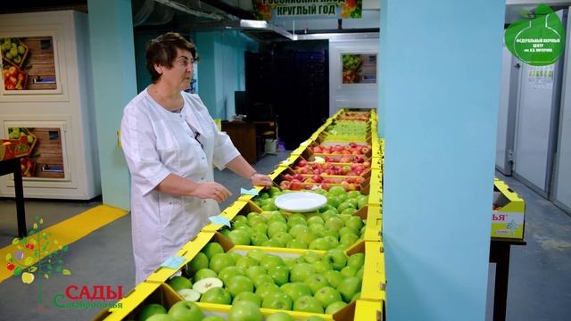 «Эффективная система круглогодичного хранения плодов яблони и груши» смотреть онлайн