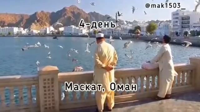 Круиз по Персидскому заливу ?? смотреть онлайн