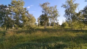 В какие дни НЕЛЬЗЯ ходить на кладбище