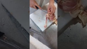 окорочка куриные ножки обвалка 80 уровень