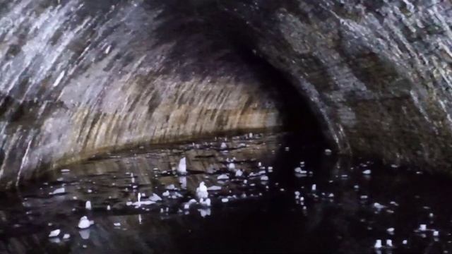 One digger DAY Estonia Harjumaa смотреть онлайн