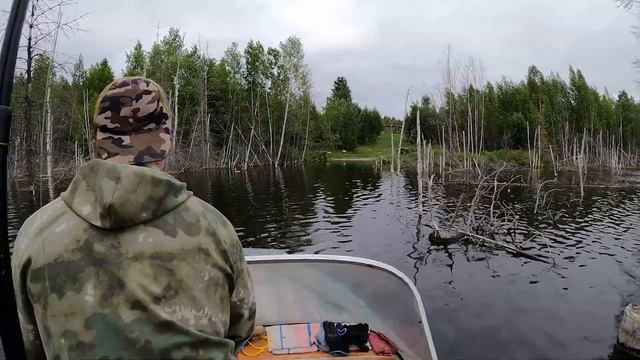 Тайга ч.4 Огромная ЩУКА КРОКОДИЛ! Настоящая РЫБАЛКА! в Усть-Илимске! ЛОСЕНОК переплывает реку! ЛАЙК смотреть онлайн