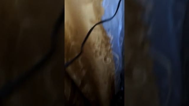 Кролик/выжигание обожглась 1часть смотреть онлайн