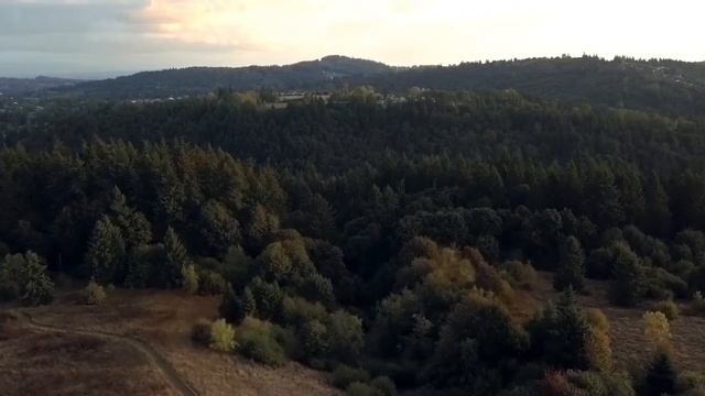 Люди любите, прощайте друг друга смотреть онлайн