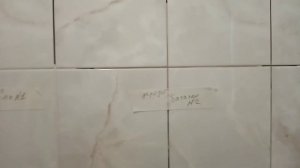 муки выбора или какой цвет затирки выбрать.