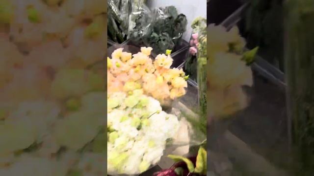 Закупка в Краснодаре 27.07.23