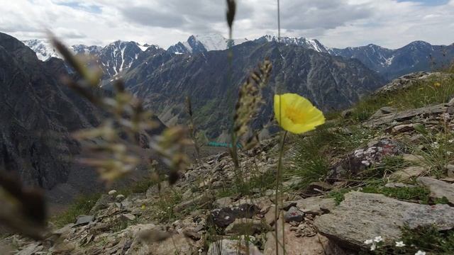 Шавлинские озёра. Алтай смотреть онлайн