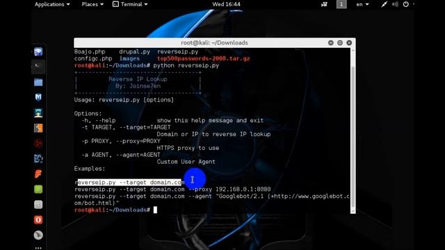 Reverse Ip Domain Lookup (Python) смотреть онлайн