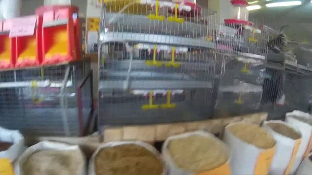 посещение зоомагазина для сельхозживотных смотреть онлайн