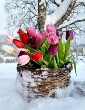 Поздравление с Международным женским днем 8 Марта