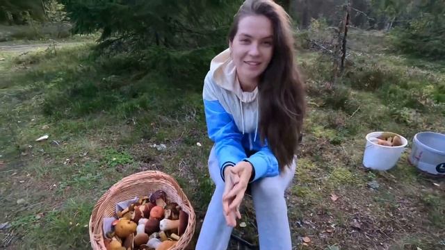 Тихая охота, или как наполнить «Комаровскую» корзинку белыми грибами. смотреть онлайн