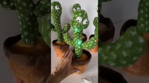 Кактус повторюшка
