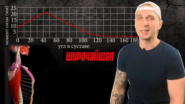 Лучшая система тренировок смотреть онлайн