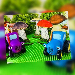 За грибами с Синим трактором