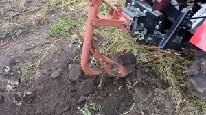 Агромаш МТ110. Копка картофеля.