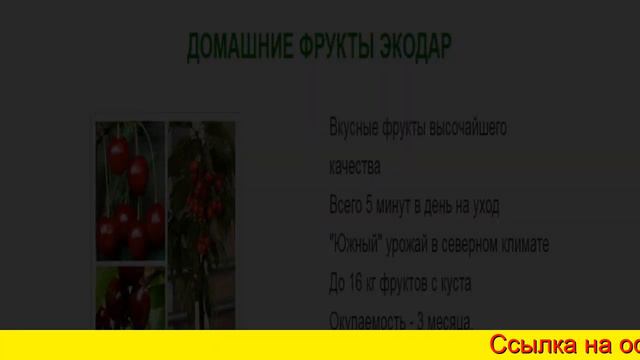 Экодар Интернет Магазин смотреть онлайн