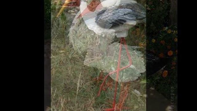 Гнездо аиста своими руками — суббота солнечного мая смотреть онлайн